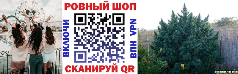 Наркотические вещества Кингисепп Конопля  Псилоцибиновые грибы  ГАШ  Мефедрон  А ПВП 